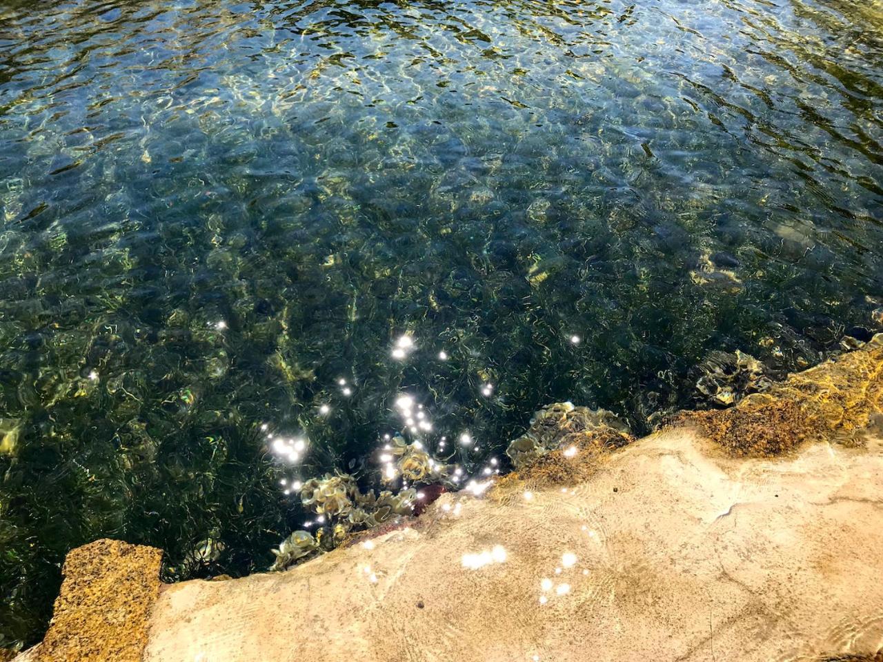 Villa Mica لا ماداّلينا المظهر الخارجي الصورة